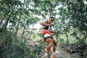 BIB: 
                            <button type="button" onclick="openModal(25978794)" class="btn btn-primary btn-sm float-right btn-popup" data-toggle="modal" data-target=".modal-high-quality">
                        <i class="fas fa-shopping-cart"></i> Add to Cart
                    </button>
                                            <button type="button" onclick="isThisMe(25978794, true)" class="btn btn-success btn-sm float-right btn-popup btn-isme hidden" data-toggle="tooltip" data-placement="bottom" title="นี่คือรูปของคุณใช่ไหม คลิกที่นี่เพื่อเอาเข้าอัลบั้ม">
                        <i class="fas fa-plus"></i> Add to album
                    </button>
                    <button type="button" onclick="isThisMe(25978794, false)" class="btn btn-warning btn-sm float-right btn-popup btn-isnotme hidden">
                        <i class="fas fa-ban"></i> Remove from album
                    </button>